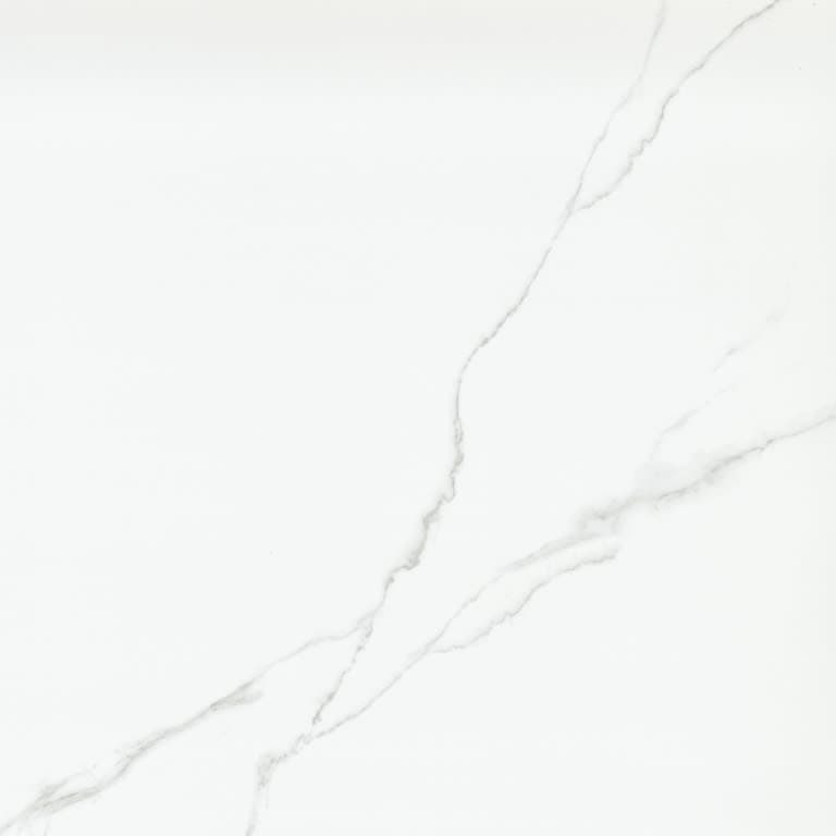 DUCHESSA SILVER MT 24X24 - vjume5hpwveodfpamyis@2x.jpg