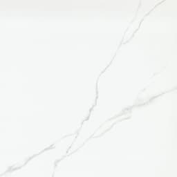 DUCHESSA SILVER MT 24X24 - vjume5hpwveodfpamyis@2x.jpg