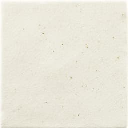 Contempee Jasmine Square, Star 4X4 Glossy - vjxf4ziqpeumnets0iiw@2x.jpg