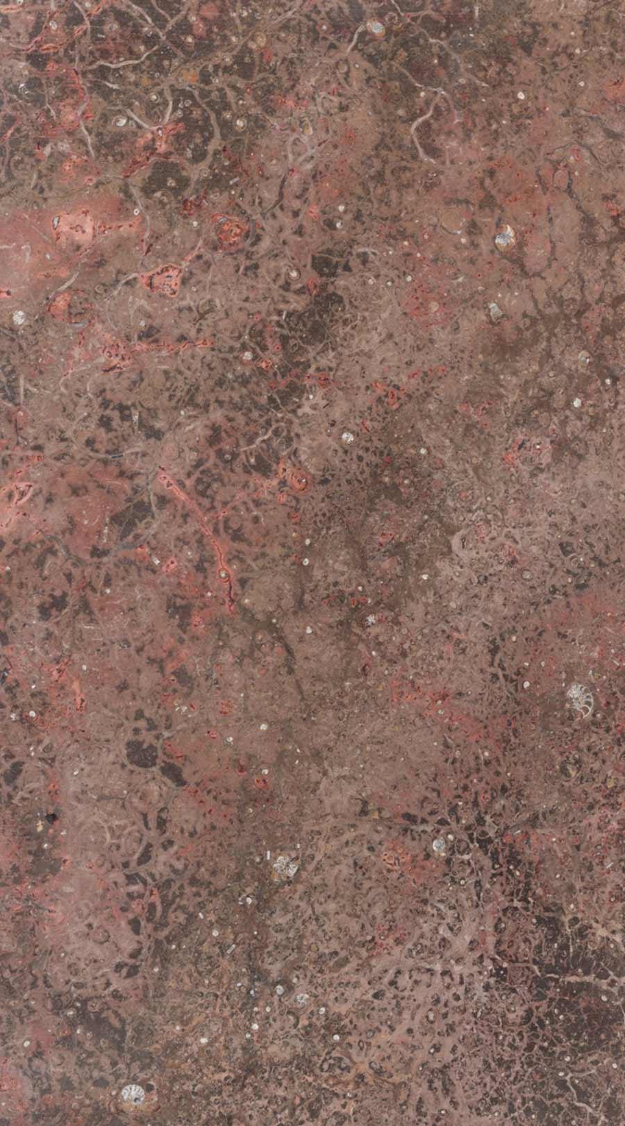 Big Fossil - vkftqxoxescz3t9t04qf@2x.jpg