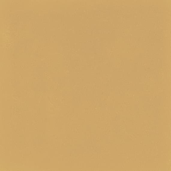 D_Segni Color Mustard Square 8X8 Matte