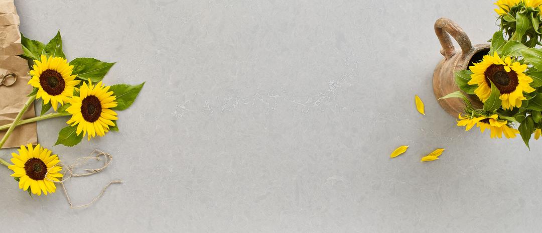 Pre Fab Vena Carbona® - vmfp5jjr5s4ug8yjtmki@2x.jpg
