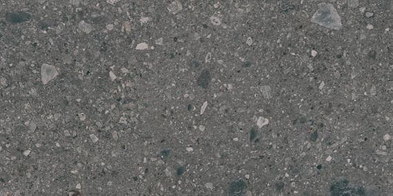 Assemble Emissary Rectangle 30X60 Matte