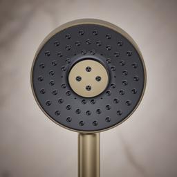 Statement 1.75 GPM Multi Function Hand Shower with MasterClean Sprayface and Katalyst Air Induction Technology - vnlraxvh2xwrexfz1i3f@2x.jpg