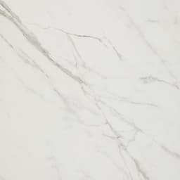 Platinum Calacatta Empire Square 12X12 Matte - vpffrthniqra9sedgkcf@2x.jpg