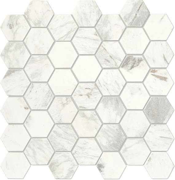 Raine Stratus White Hexagon 2X2 Honed - vrbt5s14hxm6ofjel9c1@2x.jpg