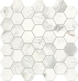 Raine Stratus White Hexagon 2X2 Honed - vrbt5s14hxm6ofjel9c1@2x.jpg