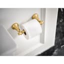 Colinet Wall Mounted Pivoting Toilet Paper Holder - vsdnjjejeuvdvp5nqhxt@2x.jpg