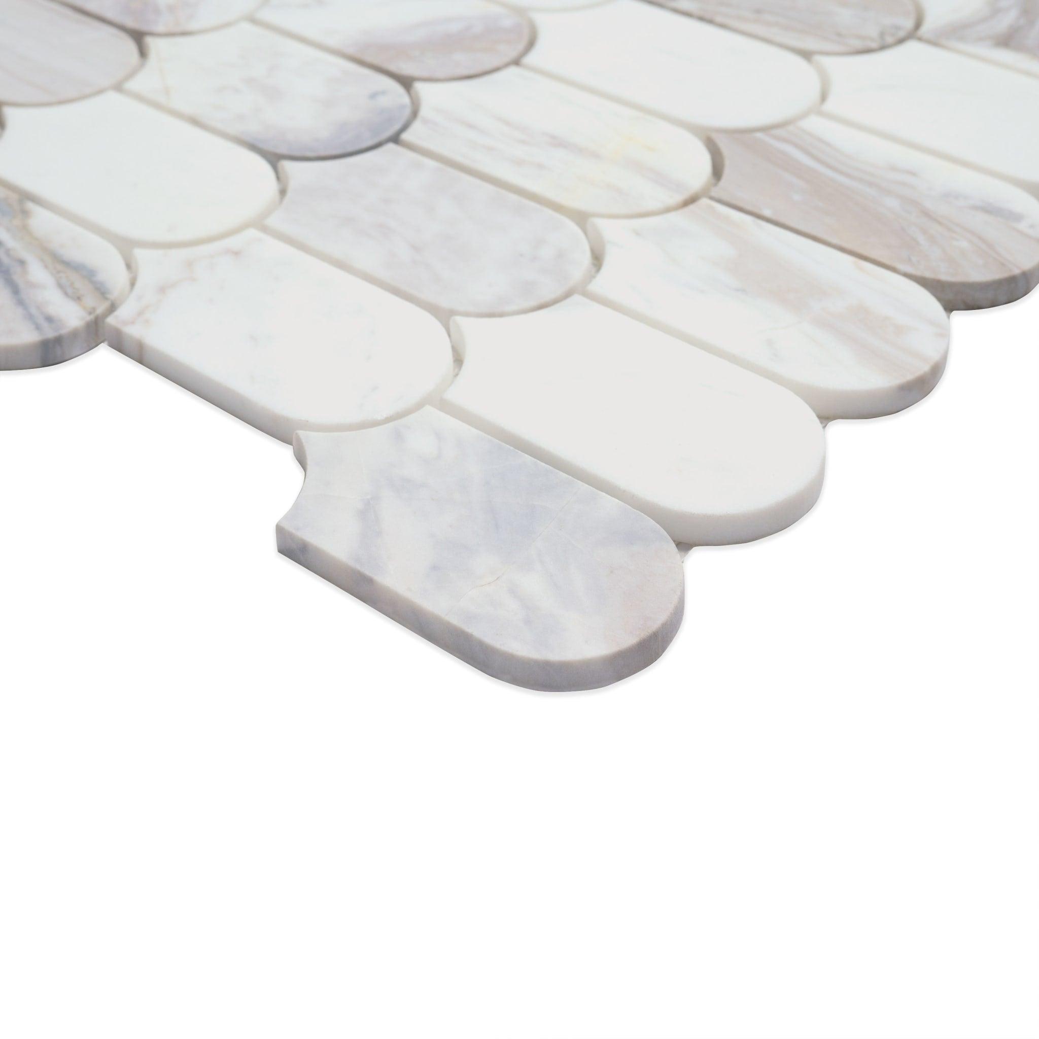 Edessa Scallop Polished - vsy5ulrbrwa8f7pfcrsf@2x.jpg