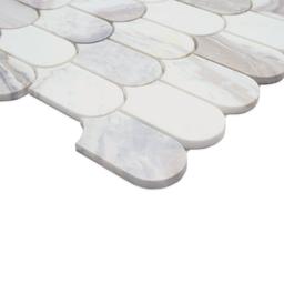 Edessa Scallop Polished - vsy5ulrbrwa8f7pfcrsf_x500.jpg