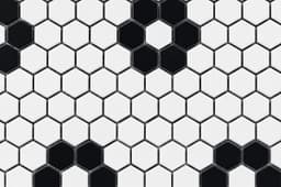 Flower White and Black - vtk13mdmiirms06fnwzw@2x.jpg