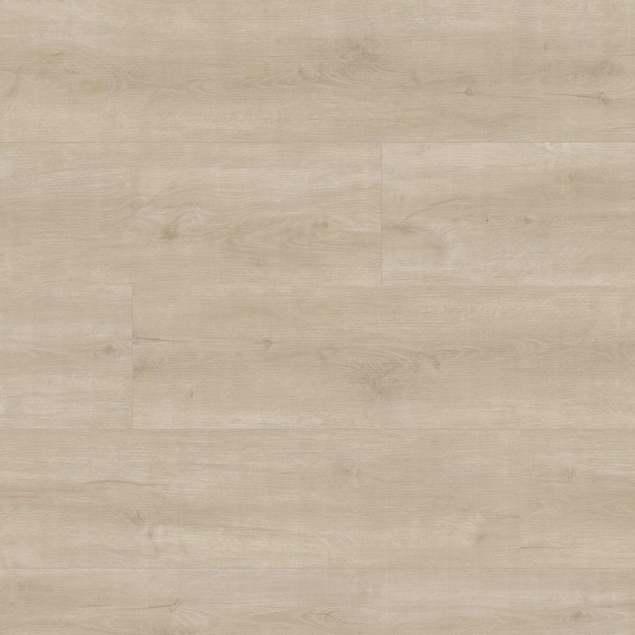 KALLUM SHASTA GROVE 8.98X48.03