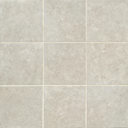 Florentine Argento Square 12X12 Matte - vw95kzdr7jeefcaevypf@2x.jpg