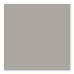BG TAUPE 4 1/4X10 - vwa3mtant3tlbpdqiuqb@2x.jpg