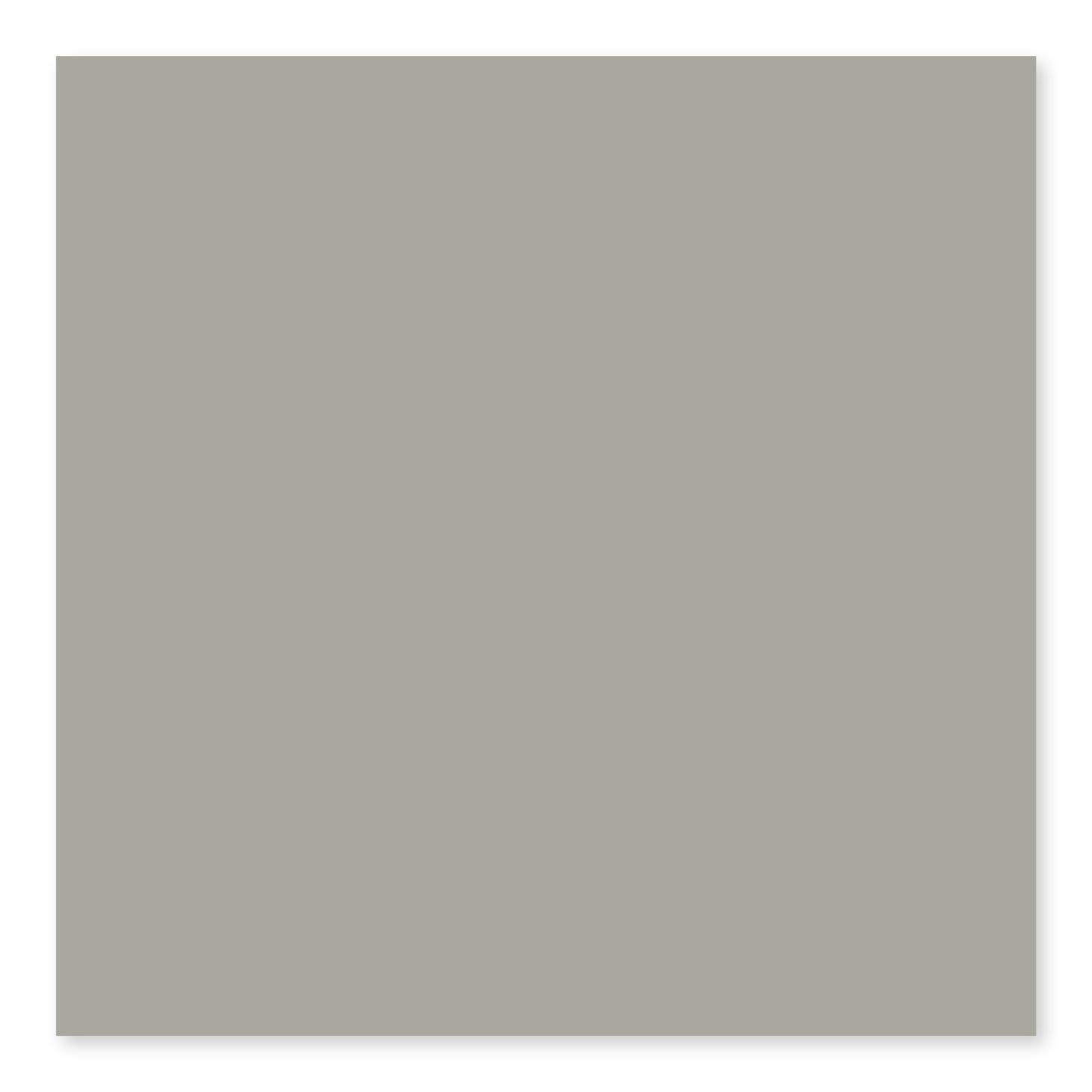 BG TAUPE 4 1/4X10