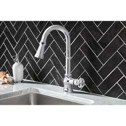 Paterson 1.5 GPM Single Hole Pull Down Kitchen Faucet with Duralast Cartridge and Reflex, PowerBoost, and Duralock Technologies - vwumadta0pnejcevk8bl_x500.jpg
