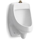 Dexter 20-3/4" x 13-3/4" Urinal with 3/4" Top Spud - vxzn9loqlehvf2ujcguu@2x.jpg