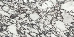 Calacatta Viola Polished - w0ihauqd5l7pfap1xtcf@2x.jpg