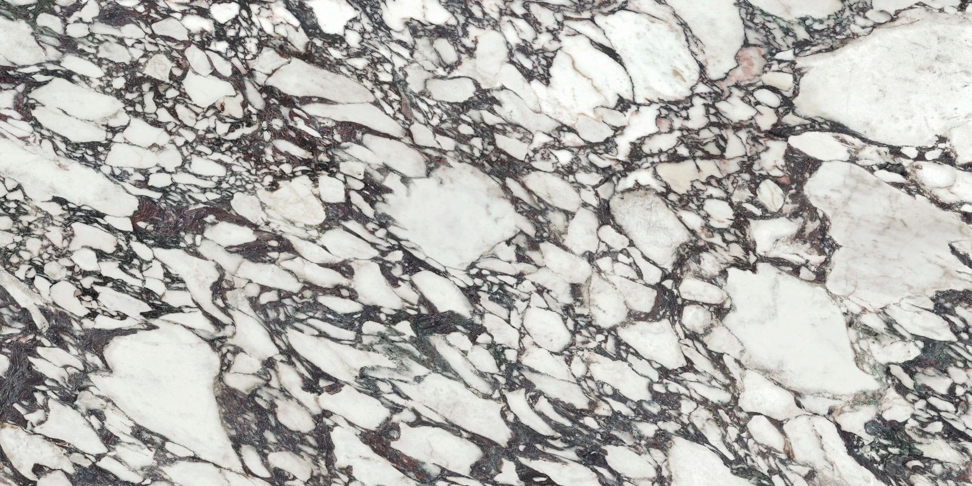 Calacatta Viola Polished