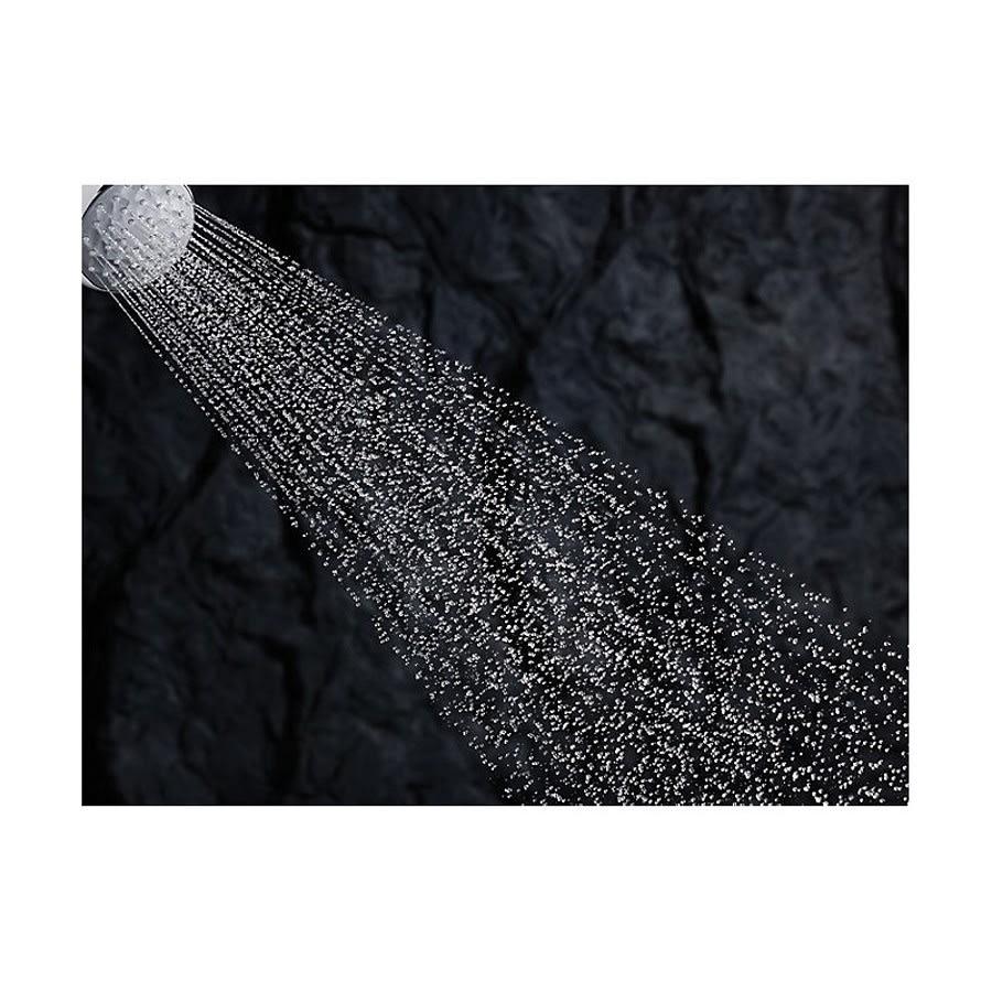 Awaken® G90 Shower Head, ADA, 3-9/16 in Dia, 1.5 gpm, Polished Chrome - w4y95zvjtzx4bchwufc1@2x.jpg