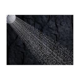 Awaken® G90 Shower Head, ADA, 3-9/16 in Dia, 1.5 gpm, Polished Chrome - w4y95zvjtzx4bchwufc1@2x.jpg