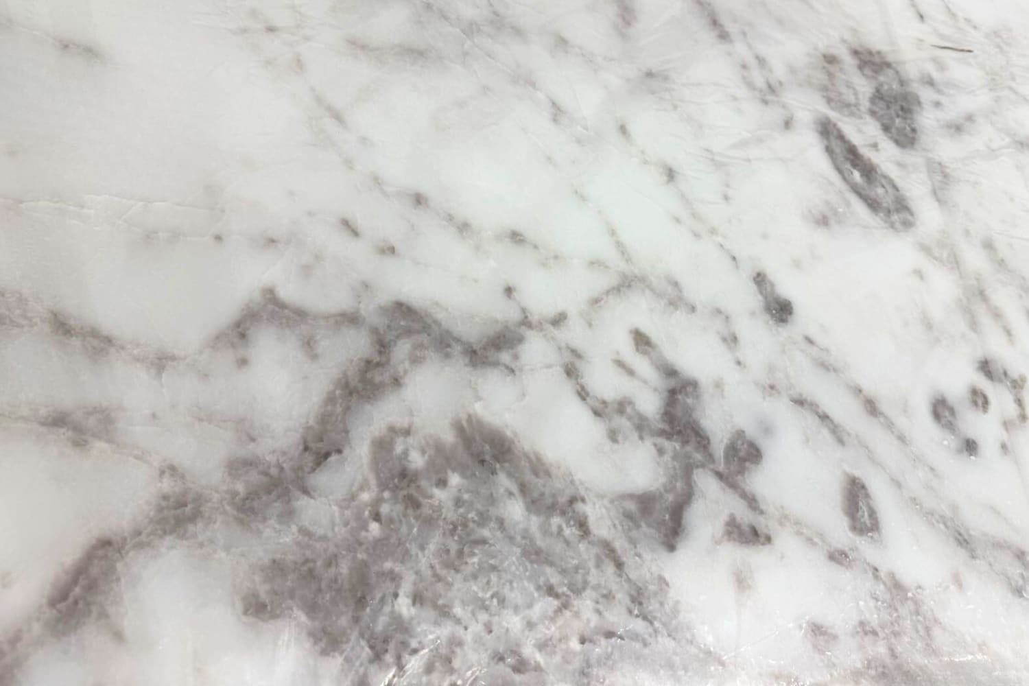 Oyster White