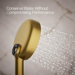 Statement 2.5 GPM Multi Function Hand Shower with MasterClean Sprayface and Katalyst Air Induction Technology - w7vkhamgjtpy92enpgan@2x.jpg