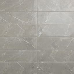 Platinum Dove Rectangle 12X24 Matte - w8notbjdaohq5qzjq7yr@2x.jpg