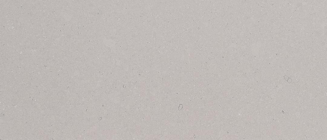 Fossil Gray® - Matte Finish - w8nybue1m2dt6w1ghmr0@2x.jpg