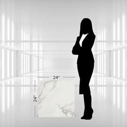 Artsy Studio Carrara Rectangle 12X24 Matte - w95o9gspqz1wtqfo8jc3@2x.jpg