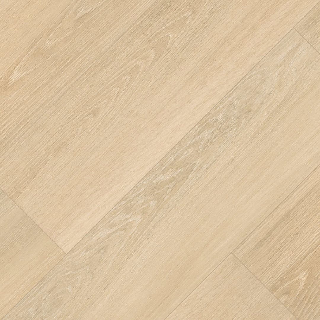 Placero Oak - w9hqvhukox0kz2gbnom0@2x.jpg