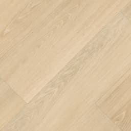 Placero Oak - w9hqvhukox0kz2gbnom0@2x.jpg