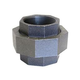 Union, 1-1/2 in, FNPT, 150 lb, Malleable Iron, Galvanized - wayszyxkkymgp6kq93uf@2x.jpg