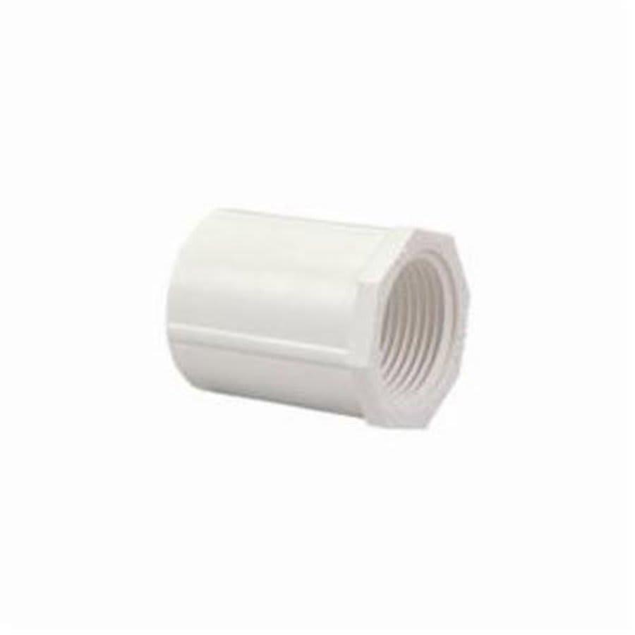 Female Adapter, 2-1/2 in, Socket x FNPT, SCH 40/STD, PVC - wedmjd6ihwiwtjh0cdg3@2x.jpg
