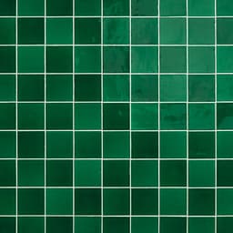 Natural Hues Fern Square 12X12 Matte - wez0vm4ztvqmsvbybbh0@2x.jpg