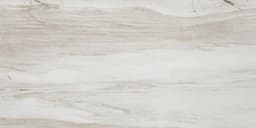 Platinum Calacatta Sky Rectangle 12X24 Matte - wfv9lfxq8lgyh5j6j3sj@2x.jpg