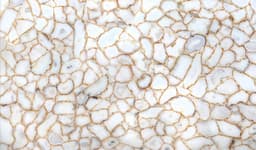 White Agate - white-agate-slab-1000x1000@2x.jpg