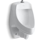 Dexter Elongated Urinal with 3/4" Top Spud - whnts9mftnylizvuiv8a@2x.jpg