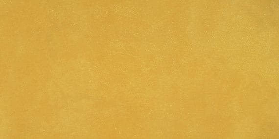 Portfolio Vivid Generation Z Yellow Rectangle 12X24 Matte - whsnr71gzguxbe7brjff@2x.jpg