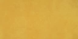 Portfolio Vivid Generation Z Yellow Rectangle 12X24 Matte - whsnr71gzguxbe7brjff@2x.jpg