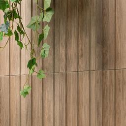 Hip Hop camel - wibivj8zdsty3nubnyqj@2x.jpg