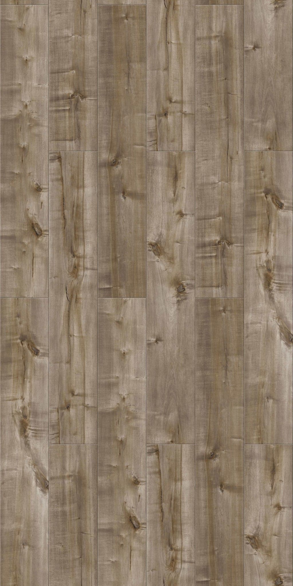 Silver Rain - wicespw59ry740iaurfe@2x.jpg