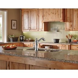 Cassidy Pull-Out Kitchen Faucet - Includes Lifetime Warranty - wilzp2rvar7x1xtfakcp_x500.jpg