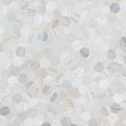 Athena Gold 2" Hexagon Honed - wjfnifad2bqqtcvdxhdj@2x.jpg
