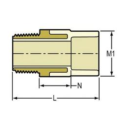 Male Adapter, 1/2 in, Socket x MNPT Brass, SCH 40/STD, CPVC - wlge46ovl3ds46to1vlp@2x.jpg