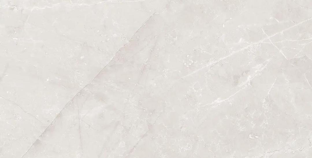 ETIENNE LIGHT GRAY PO 24X48R - wmocmoowwlfsu2fygy5n@2x.jpg
