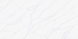 Calacatta Azulejo - wn0ktfjhmok1w1nmn0k9@2x.jpg