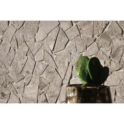 Frammenta Floor and Wall Palladiana Mosaic in Beige - wn7d4pb9cklisdpa2fzx@2x.jpg