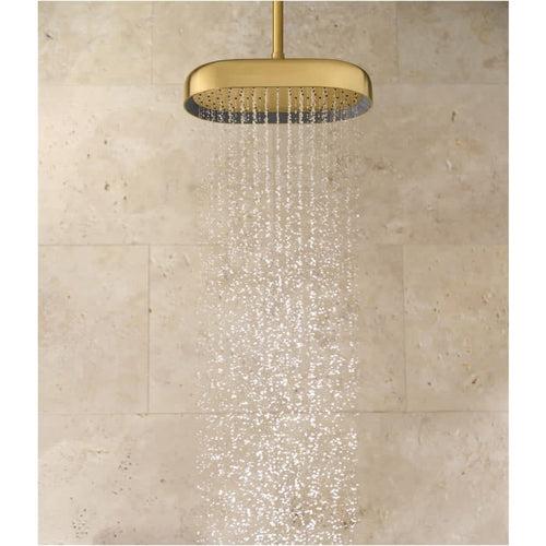 Statement Oblong 14" Single Function 2.5 GPM Rainhead with MasterClean Sprayface and Katalyst Air-Induction Technology - wndnhqpfmigyarzw1yrz_x500.jpg
