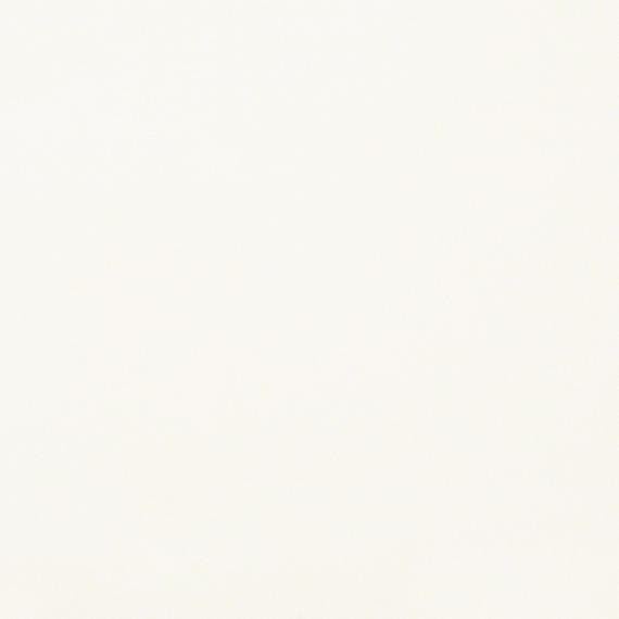 Marble Thassos White Square 12X12 Honed - wpk8kmiggcbycnfab6xq@2x.jpg